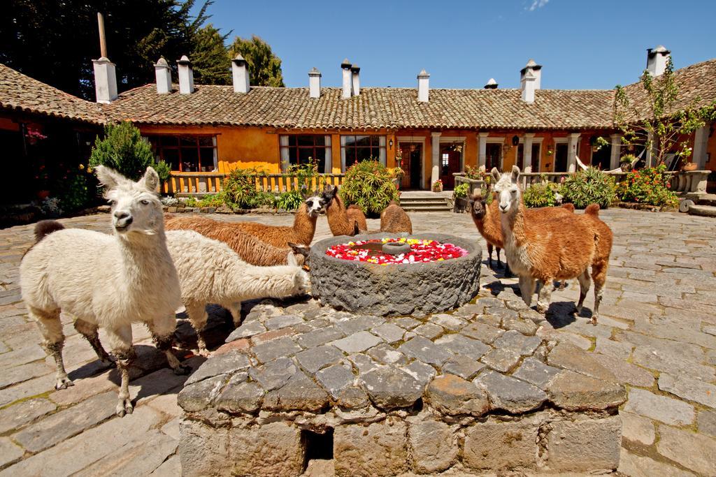 Hacienda San Agustin De Callo Lasso Exterior foto